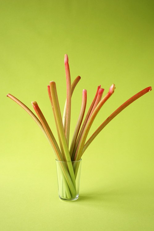 Rhabarber Erdbeere Vanille Éclair / Ruibarbo Morango Baunilha Éclair